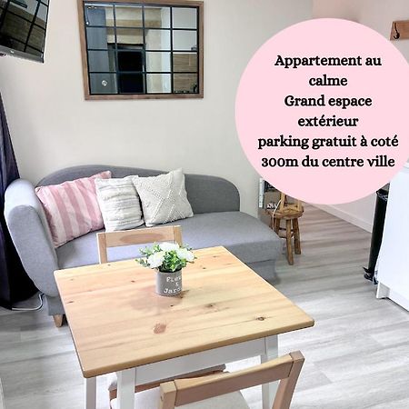 Le Badebec, Appt Dans Maison Typique Avec Jardin Prive Chinon Ngoại thất bức ảnh