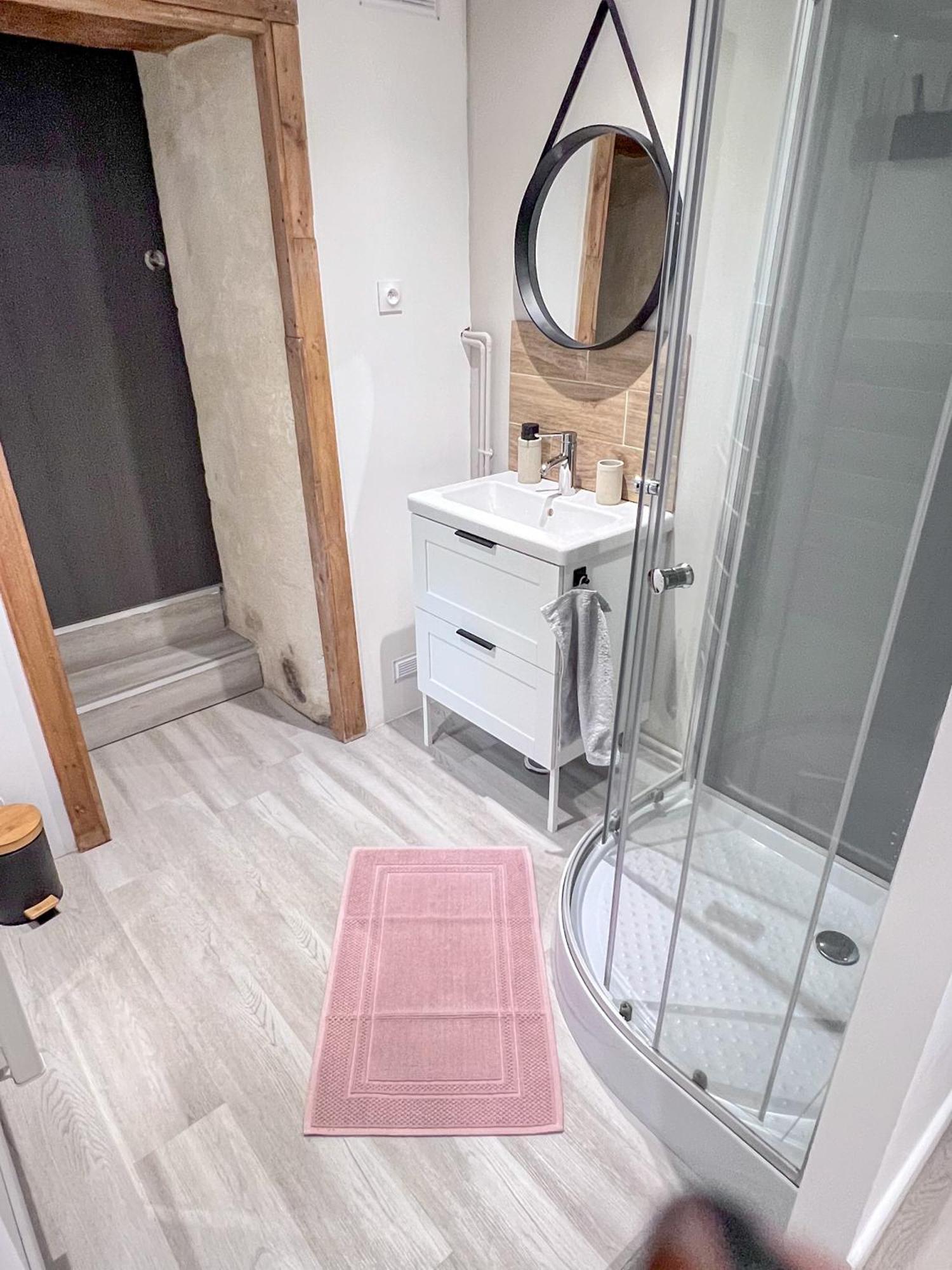 Le Badebec, Appt Dans Maison Typique Avec Jardin Prive Chinon Ngoại thất bức ảnh