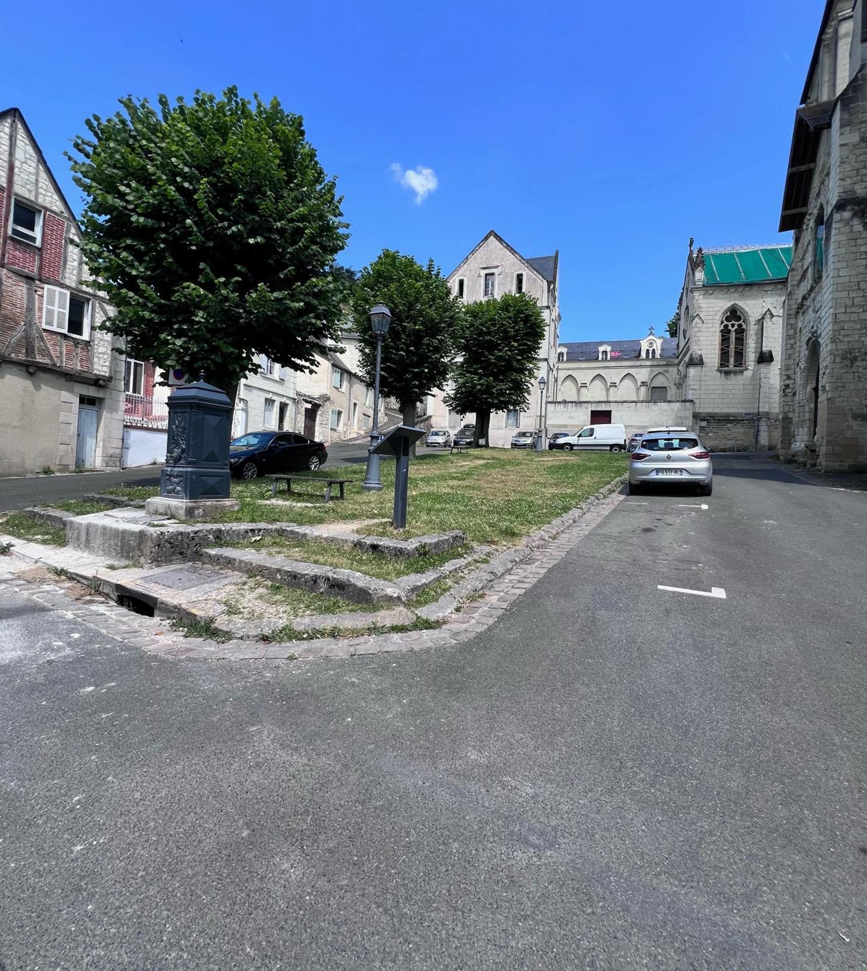 Le Badebec, Appt Dans Maison Typique Avec Jardin Prive Chinon Ngoại thất bức ảnh